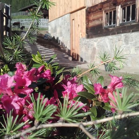 Villa Almhütte Gorgasser Heiligenblut am Großglockner Exterior foto