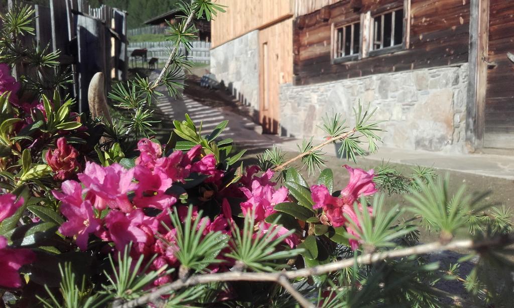 Villa Almhütte Gorgasser Heiligenblut am Großglockner Exterior foto